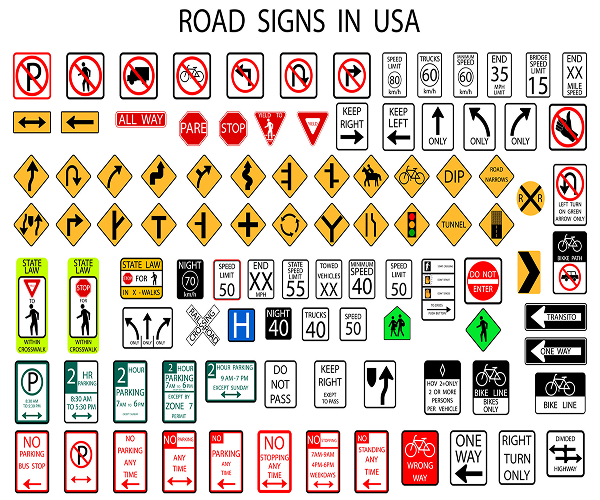 Driving School
