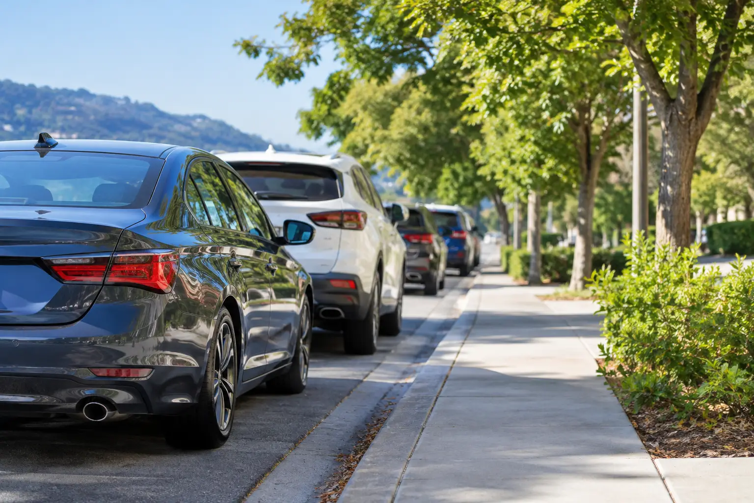 California Curb Parking Rules Guide for Drivers